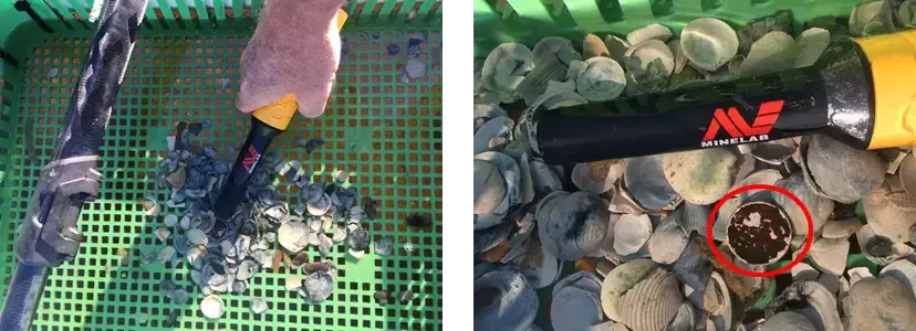 My First PRO-FIND 35 Field Trip