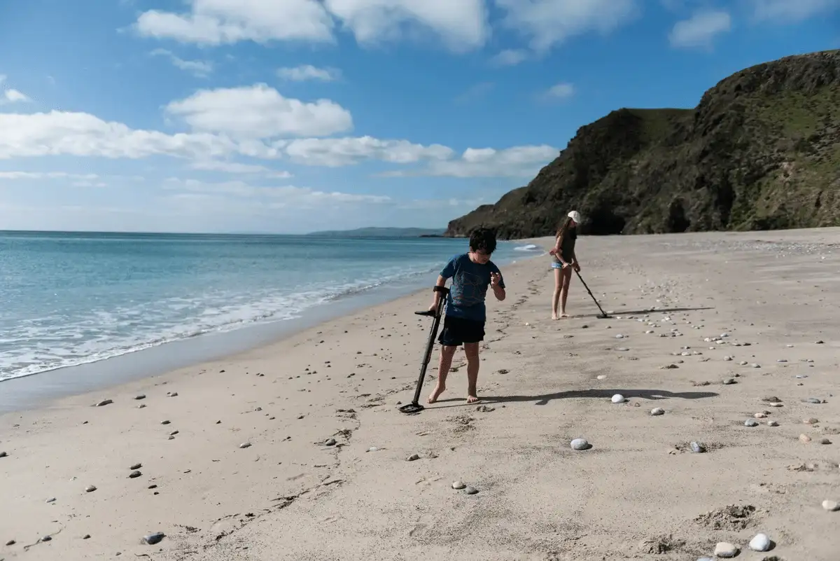 5 Reasons to Start Using Minelab in 2025