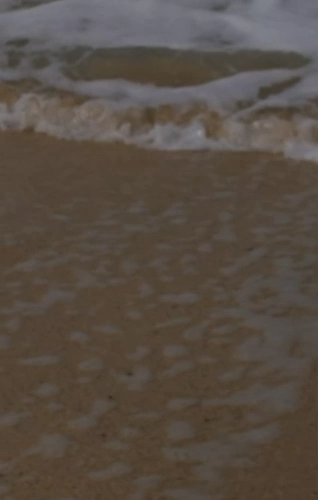 Built for the Beach