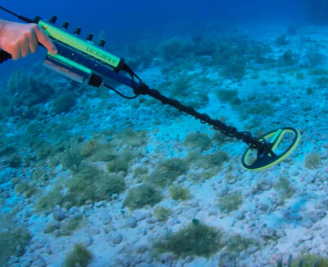 High Visibility Rugged Design