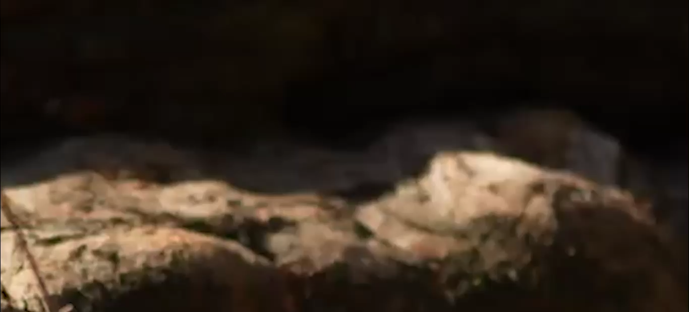 Ferrous Tone ID — Dual Tone Audio  